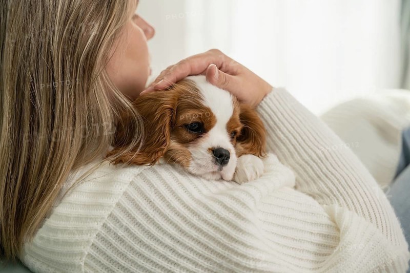 A woman in a cozy setting holds a small, adorable dog, creating a warm and relaxing atmosphere. The puppy rests calmly, showcasing a loving bond