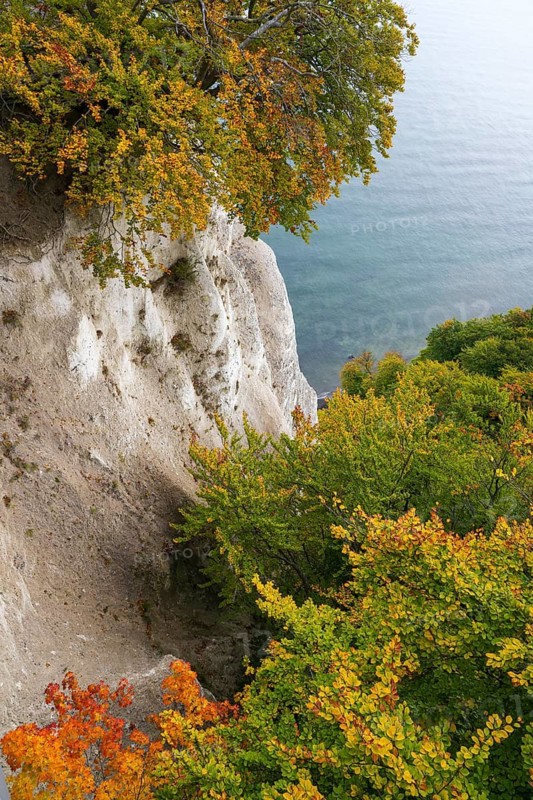 View of chalk cliffs and Baltic Sea, trees with autumn leaves, Jasmund National Park, Sassnitz, Rügen island, Baltic Sea, Mecklenburg-Western Pomerania, Germany