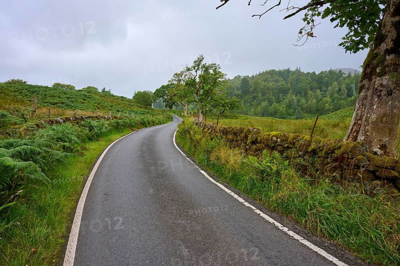 A winding country road leads through a green landscape with trees and a low stone wall under cloudy sky, Scotland, United Kingdom, Great Britain