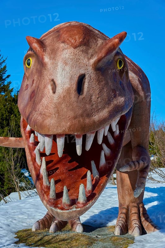 Tyrannosaurus rex, brown dinosaur sculpture with open mouth in winter, Triassic Park, Steinplatte, Waidring, Tyrol, Austria
