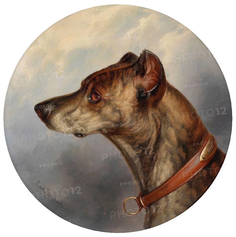Carl Reichert, Karl Reichert, pseudonym J. Hartung (born 27 August 1836 in Vienna, died 5 April 1918 in Graz) . Austrian painter, especially landscape painter and animal painter. Here his work:, Dog portrait round, Side view of a dog, here possibly a Great Dane or a Doberman, Painting, Reproduction of the painting, Work of art, Historical