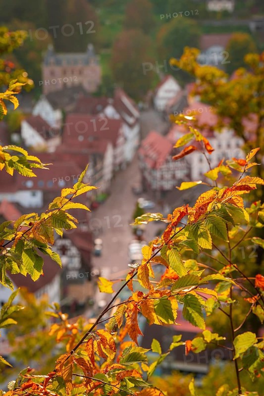 Half-timbered town in autumn, Calw, Black Forest, Germany