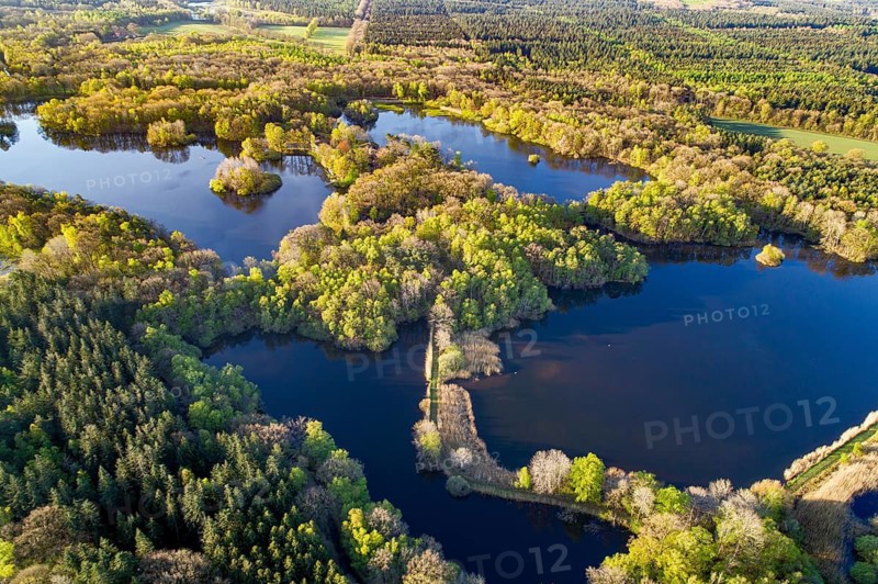 Aerial view of Ahlhorn fish ponds, autumnal, pond, lake, Lower Saxony State Forests, Ahlhorn, Lower Saxony, Germany