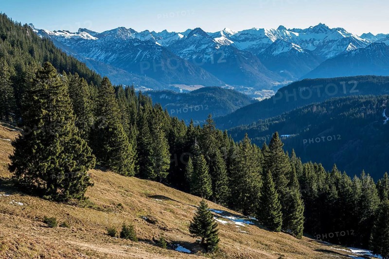 View from the high-altitude hiking trail from Bolsterlanger Horn to Riedberger Horn, snow-capped mountains of the Allgäu Alps, Bolsterlang, Oberstdorf, Oberallgäu, Allgäu, Bavaria, Germany