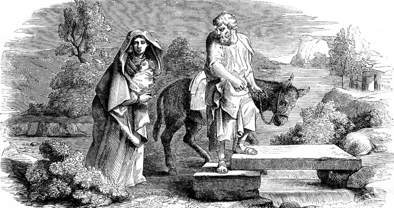 The flight into Egypt, chapter 2, verse 14, Gospel of Matthew, mother Mary, Joseph, baby, donkey, travel, walking, landscape, sorrow, fear, New Testament, Bible, historical illustration 1850