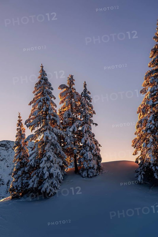 Sunrise snow tour on the Tegelberg in the Allgäu in Bavaria. Winter Wonder Land, Germany