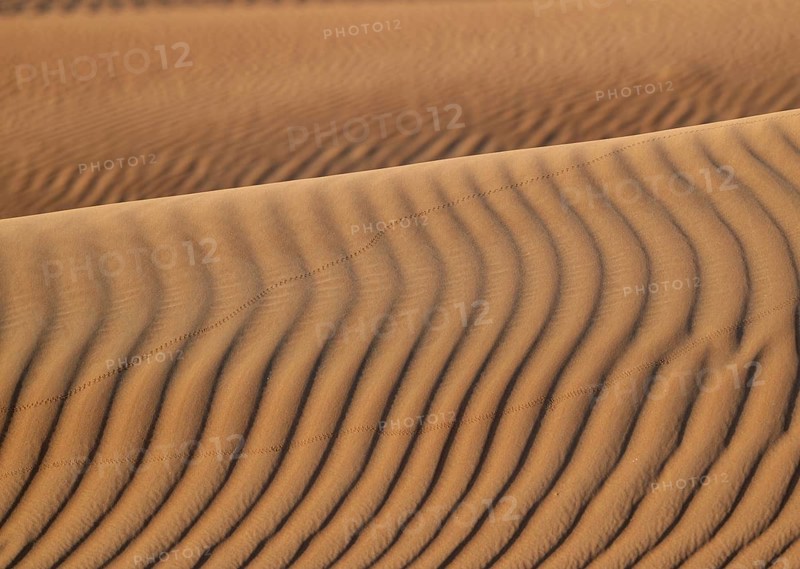 Sand dunes in the Rhub al Khali desert, empty quarter, largest sandy desert in the world, Oman