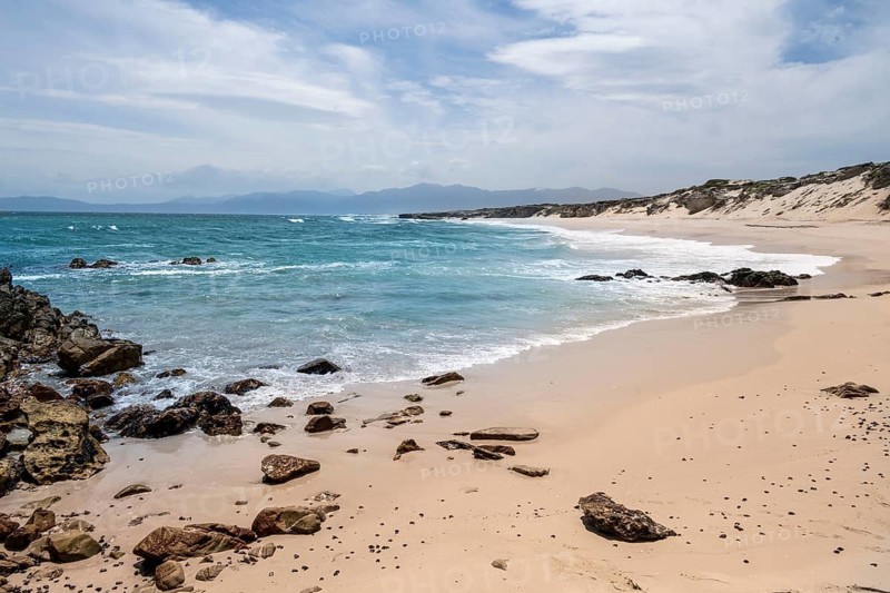 Ocean with coast and beach, Walker Bay Nature Reserve, Western Cape, South Africa