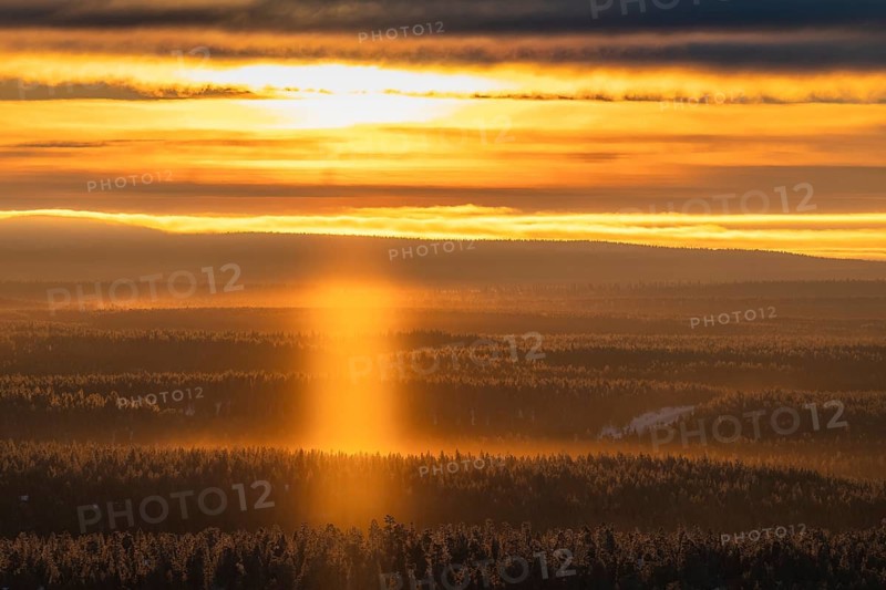 Ice crystals in backlight (light phenomenon) over a wide forest area, Saariselkä, Lapland, Finland, January 2025