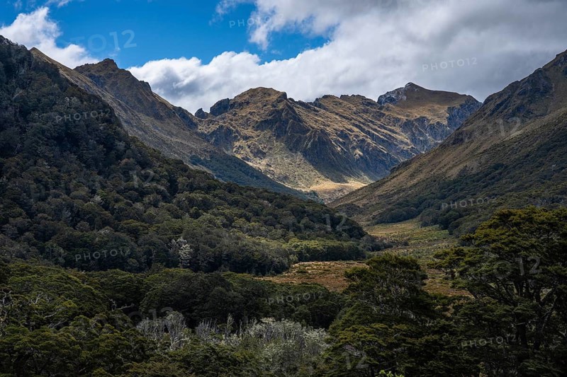 Mountainous landscape along Borland Road, Fiordland National Park, Southland Region, South Island, New Zealand