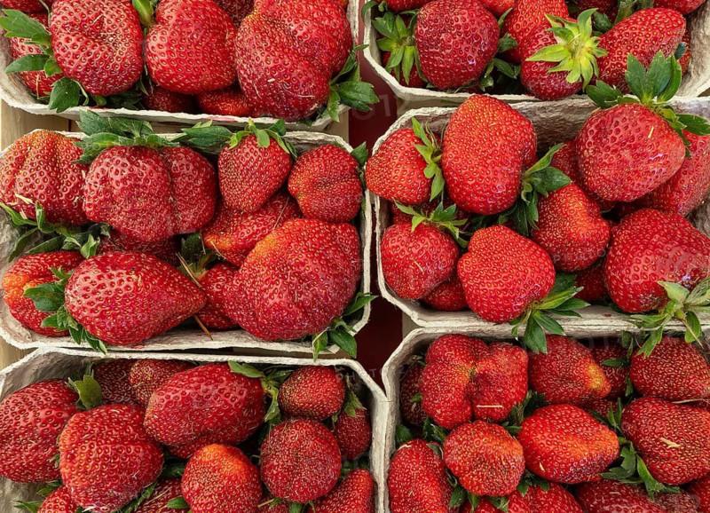 Freshly harvested red strawberries in cardboard punnets at a market stall. Local seasonal fruit from Germany, Baden-Wuerttemberg