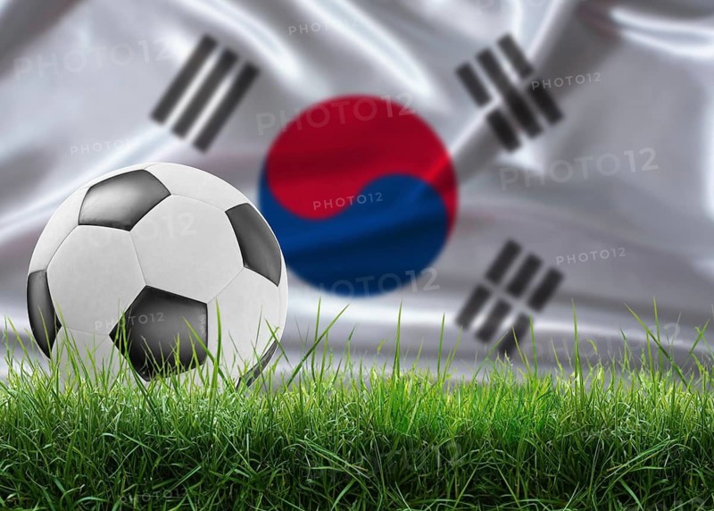 Soccer ball on pitch against South Korean flag background. Soccer ball on the grass with South Korea flag in the background