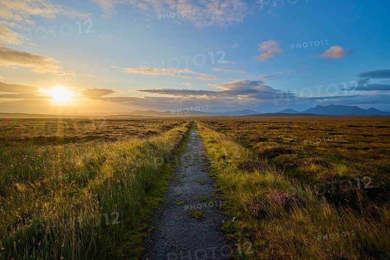 A small path stretches through a sunrise-lit landscape with cloudy skies, Moine House, Moine Track, Lairg, Scotland, United Kingdom, Great Britain