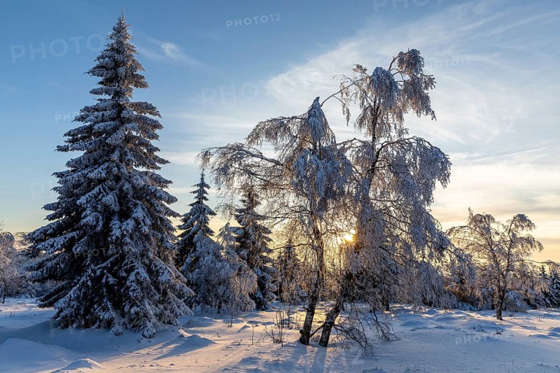 Winter landscape with snow-covered trees and branches covered with hoarfrost on the Erzgebirgskridge at sunset, Zinnwald-Georgenfeld, Altenberg, Osterzgebirge, Saxony, Germany