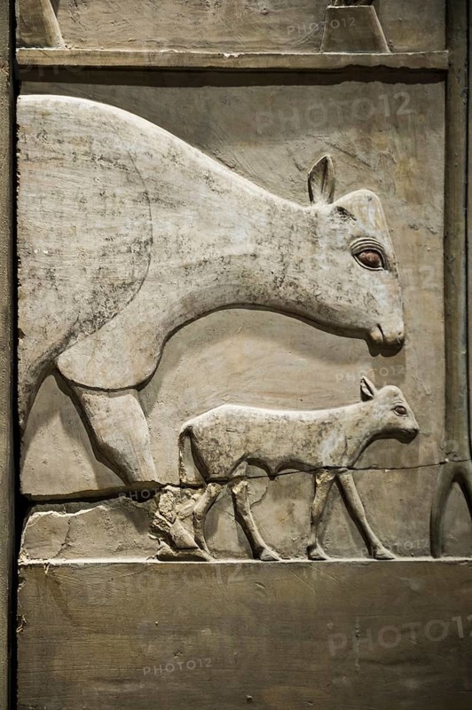 The Egyptian Museum in Cairo, EMC, Cairo, Egypt