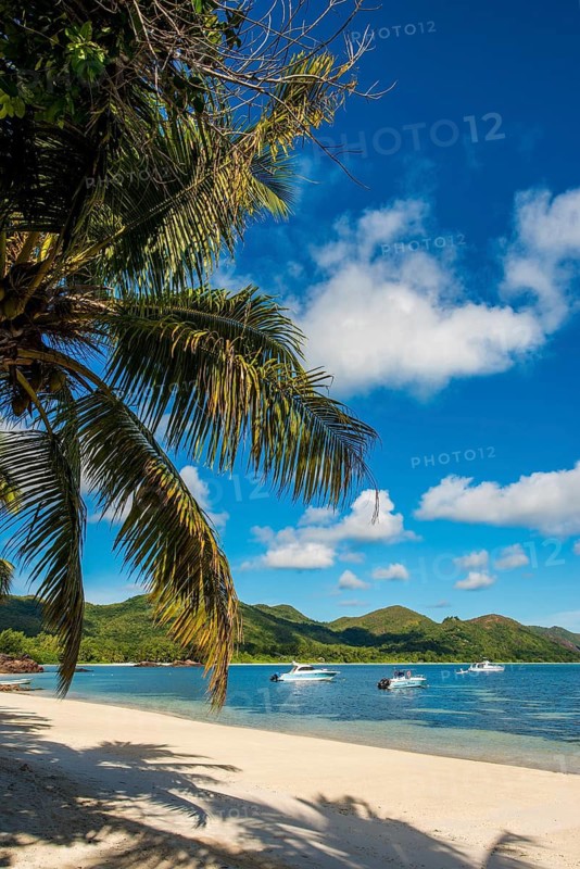 Anse Government beach at Hotel L'Archipel Resort, Praslin, Republic of Seychelles, Indian Ocean