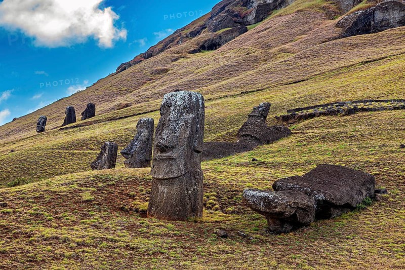 Stone figures in grassy landscape under blue sky with clouds on Easter Island, The Moai statues on Easter Island in the Pacific Ocean