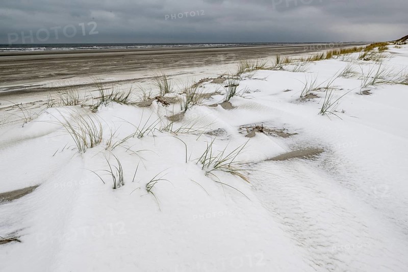Snow-covered dunes on the North Sea, Langeoog, Lower Saxony, Germany