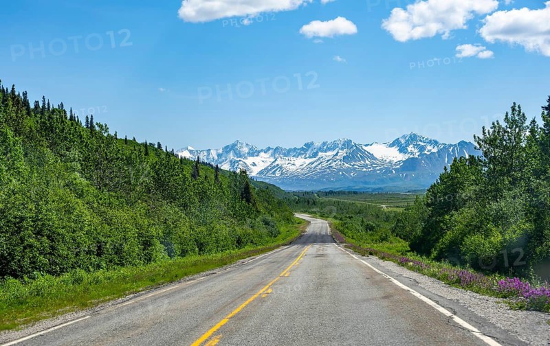 Road through taiga and mountainous landscape, picturesque landscape on Richardson Highway, Alaska, USA