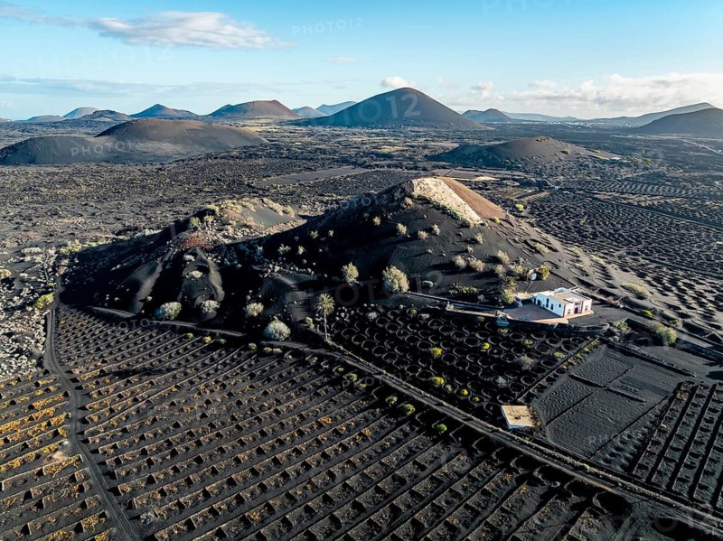 Typical drywall viticulture in volcanic landscape, on volcanic ash, lapilli, aerial view, vines, La Geria wine-growing region, Lanzarote, Canary Islands, Spain