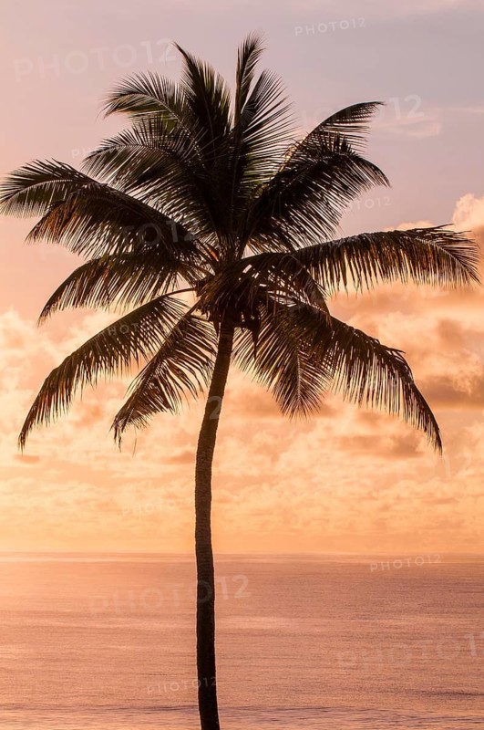 Anse La Liberte beach, Mahe, Republic of Seychelles, Indian Ocean