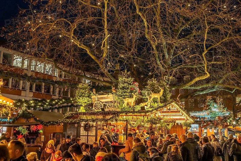 Christmas market in Münster at dusk, North Rhine-Westphalia, Germany