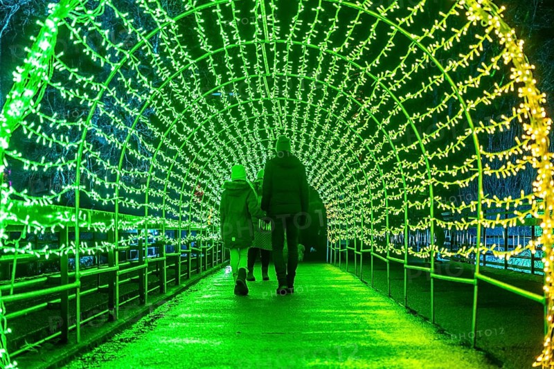 Park lights, events in winter, in the Grugapark in Essen, many different light installations, across the park, attract many thousands of visitors, Lichttunnel North-Rhine Westphalia, Germany