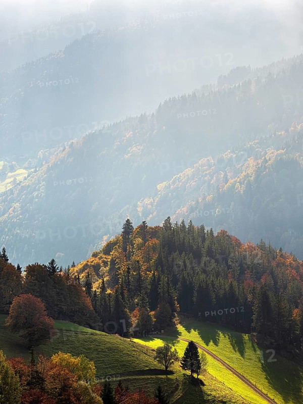 Autumn landscape on Schauinsland in the Black Forest, mountain slopes and forests during morning haze, Black Forest, Baden-Württemberg, Germany