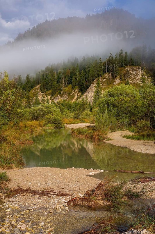 Isar valley nature conservancy area. The wild Isar river flows through its gravel bed past driftwood and entrained trees and bushes . Early morning