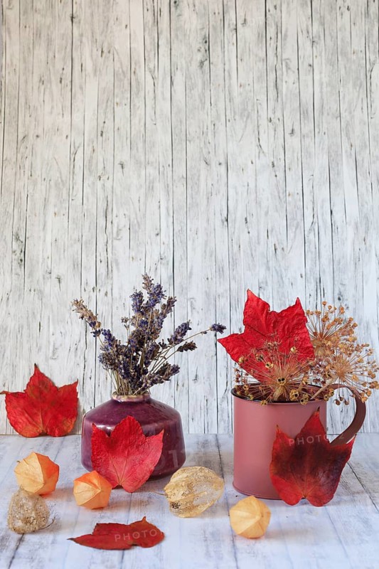Still life with autumn leaves, Germany