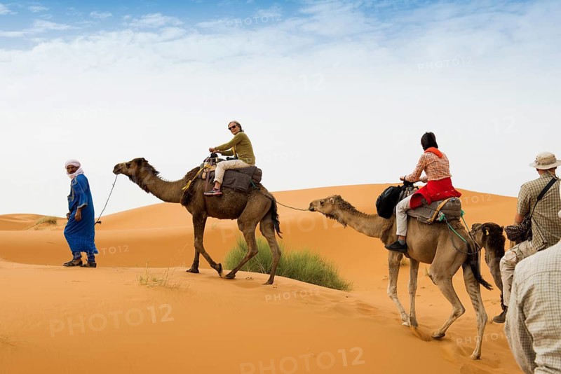 Tourists on dromedaries in the desert, near Merzouga, Meknès-Tafilalet region, Erg Chebbi, northern Sahara, Morocco