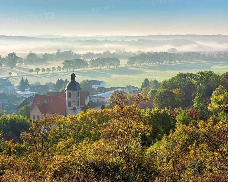 Morning atmosphere in the Saale valley near the village of Eulau with village church in autumn, fog sweeping through the rows of trees in the valley, Naumburg, Saxony-Anhalt, Germany