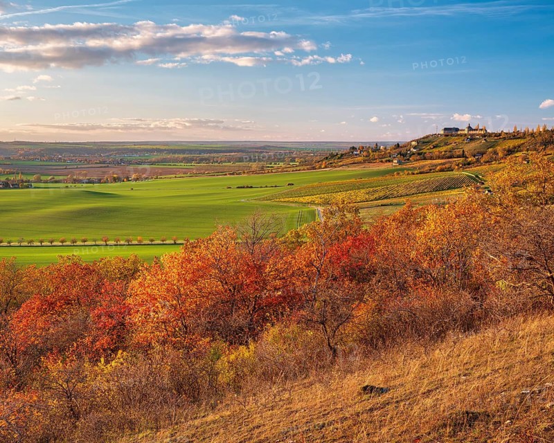 View over the Unstrut valley in autumn, on the right the historic airfield of Gleina, near Freyburg (Unstrut), Saxony-Anhalt, Germany