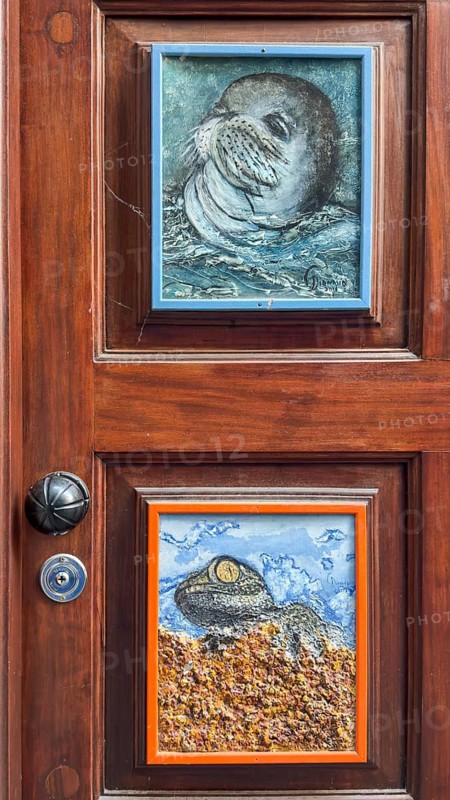 Colourfully painted doors on Santa Maria Street in the old town, Funchal, Madeira, Portugal