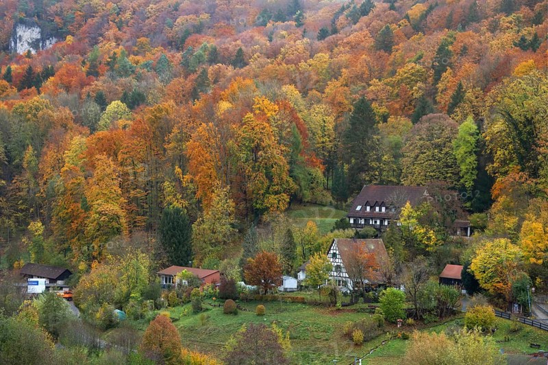 Herbstlicher Mischwald, Egloffstein, Upper Franconia, Bavaria, Germany