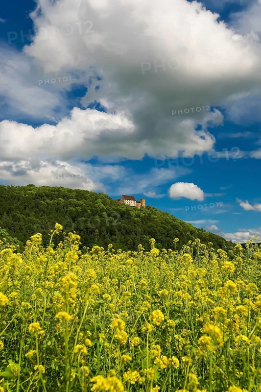 Weitenburg Castle, romantic hotel, historic building, residential castle in various architectural styles, Renaissance, Baroque, Neo-Gothic, cloudy atmosphere, rape field in bloom, Starzach, Neckar Valley, Baden-Württemberg, Germany