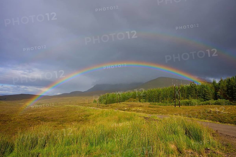 A rainbow stretches across a green meadow under a cloudy sky in a rural landscape, Lairg, Scotland, United Kingdom, Great Britain