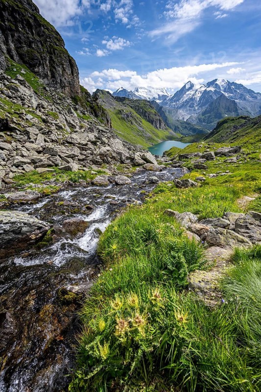 Mountain stream in picturesque mountain landscape, view of mountain lake Lac du Louvie and glaciated mountain peaks of the Grand Combine, Valais Alps, Val de Bagnes, Valais, Switzerland