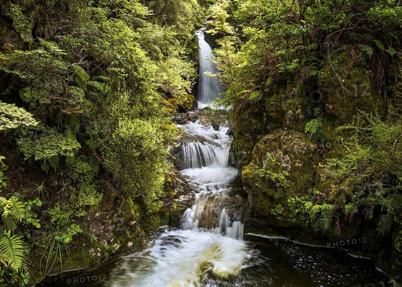 Waterfall in the forest. Avalanche Creek Waterfall, Arthurs Pass, Canterbury South Island, New Zealand