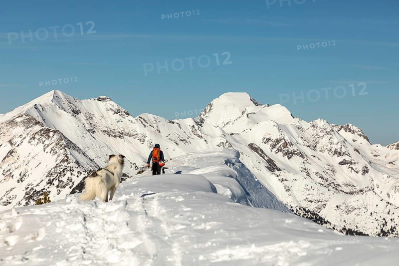 A snowboarder and a large white dog traverse a pristine snow-covered mountain landscape. Majestic snowy peaks stretch into the distance under a clear blue sky