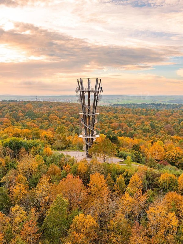 A striking observation tower stands in the middle of a vividly coloured autumn forest, Schönbuchturm, Herrenberg, Germany