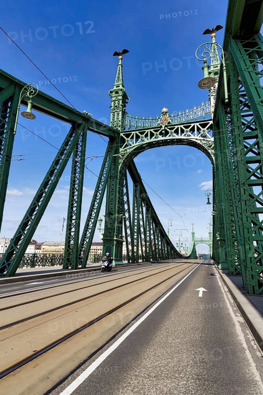 Bridge Gate, Liberty Bridge, Danube, Budapest, Hungary