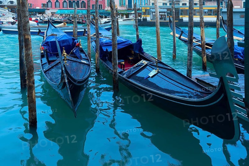Gondolas anchor in the rain at the Rialto Bridge, Venice, Veneto, Italy