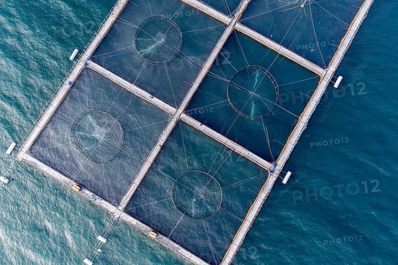 Salmon farm north of El Chaiten, top-down aerial view, Chile