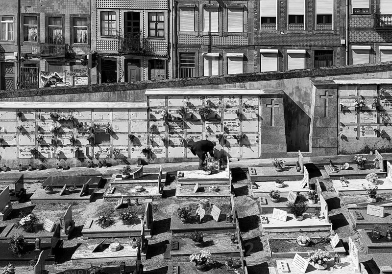 Cemitério da Lapa, Lapa cemetery, a person tending a burial ground, beyond the wall the houses of the living, Porto, Portugal