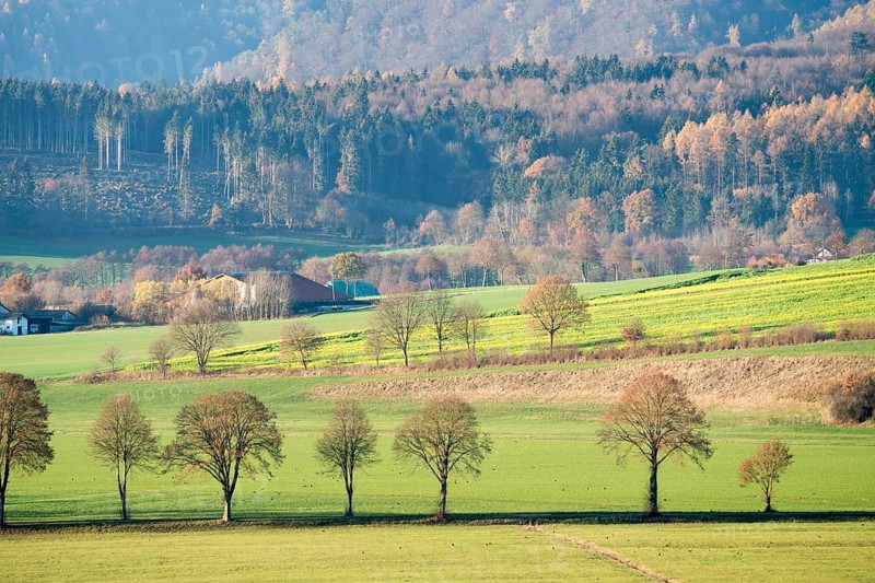 View of Solling forest, Weser River, Lower Saxony, Germany