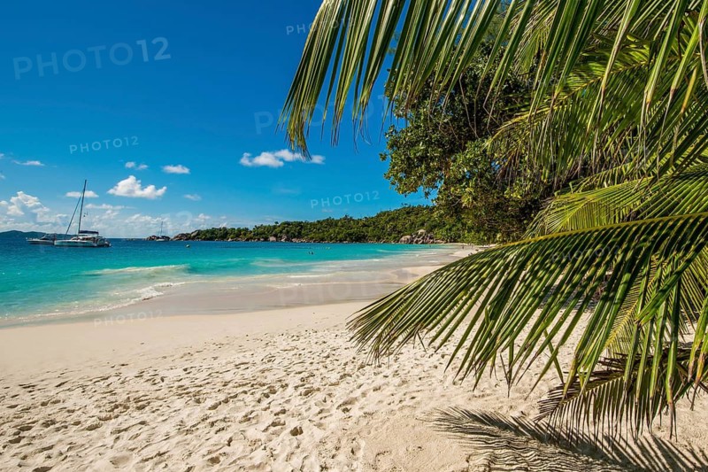 Anse Lazio Beach, Praslin, Republic of Seychelles, Indian Ocean