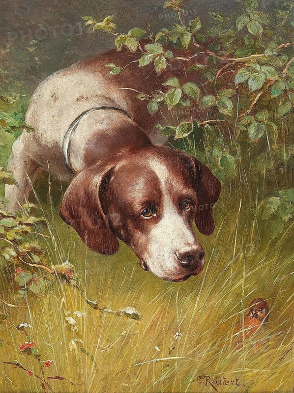 Carl Reichert, Karl Reichert, pseudonym J. Hartung (born 27 August 1836 in Vienna, died 5 April 1918 in Graz) . Austrian painter, especially landscape painter and animal painter. Here his work:, A Little Friend, A feathered friend, A hunting dog in the tall grass watching a small bird, Painting, Reproduction of the painting, Work of art, Historical
