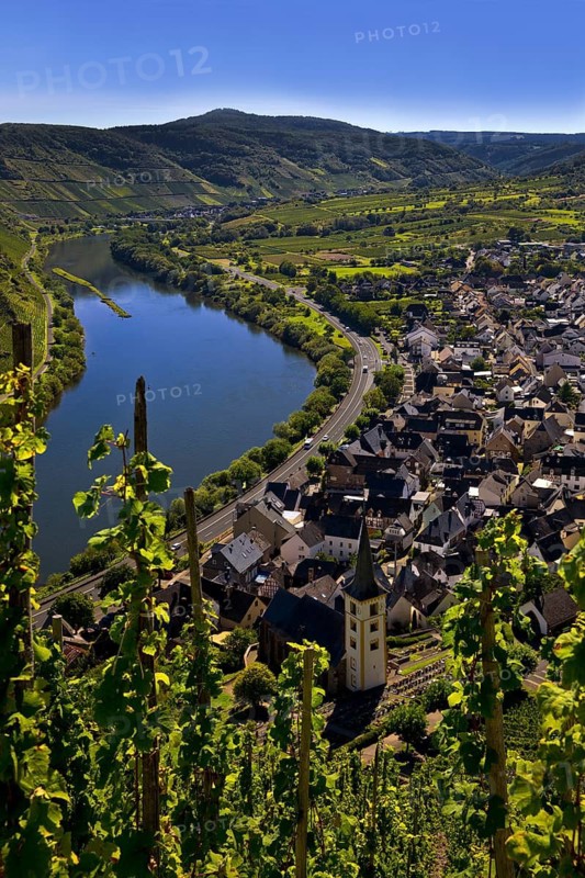 Moselle loop with vineyards and Saint Laurentius Church from the Bremmer Calmont via ferrata, Bremm, Rhineland-Palatinate, Germany