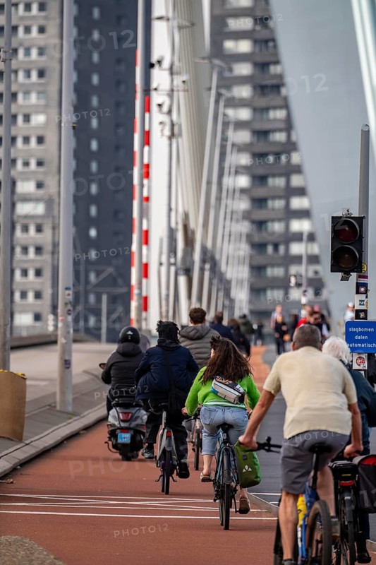 The Erasmus bridge over the Nieuwe Maas in Rotterdam, pedestrians, two-wheelers, cars, tram traffic, the Netherlands